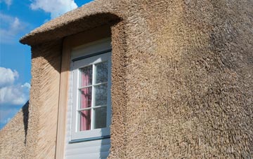 Tyby thatch roof disadvantages